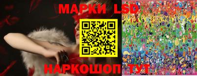гашик Будённовск