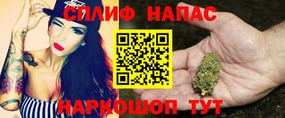гашик Будённовск