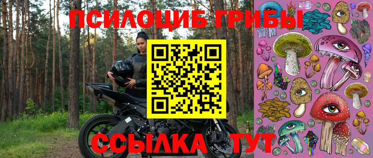 Зеленокумск  как найти закладки  Вход с VPN  Галлюциногенные грибы Psilocybe 